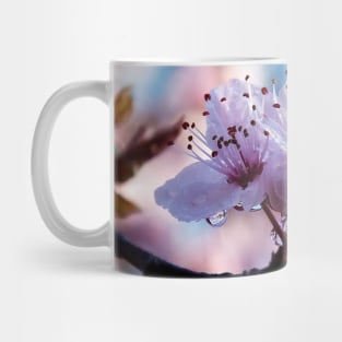 Spring Blossoms Mug